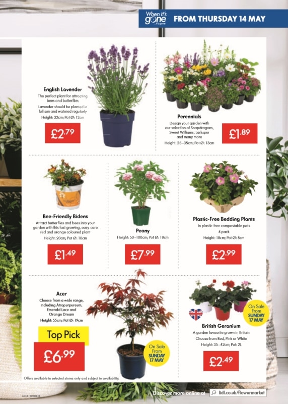 LIDL Weekly Offers Leaflet - Thursday 14 – Wednesday 20 May 2020 - 11 page(s)