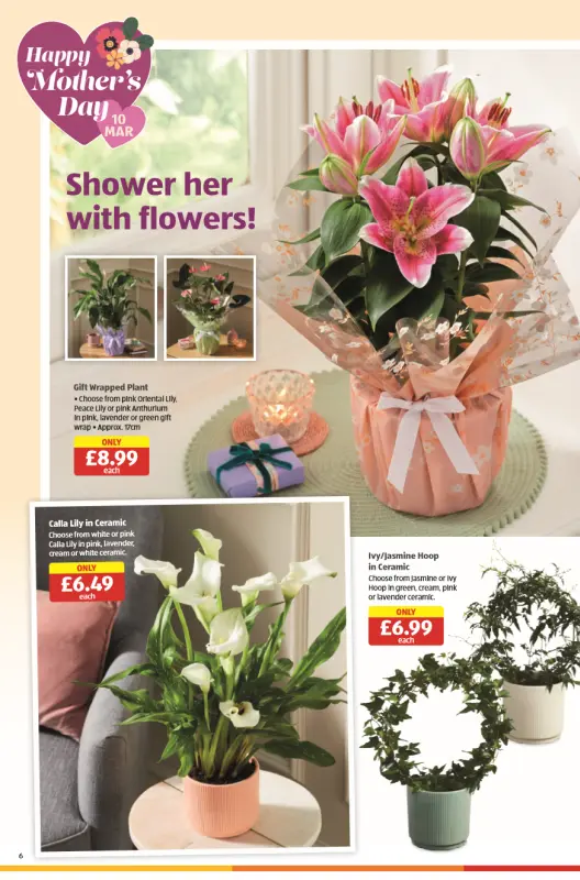 ALDI Special Buys Catalogue From 29 Feb 2024 - 06 page(s)