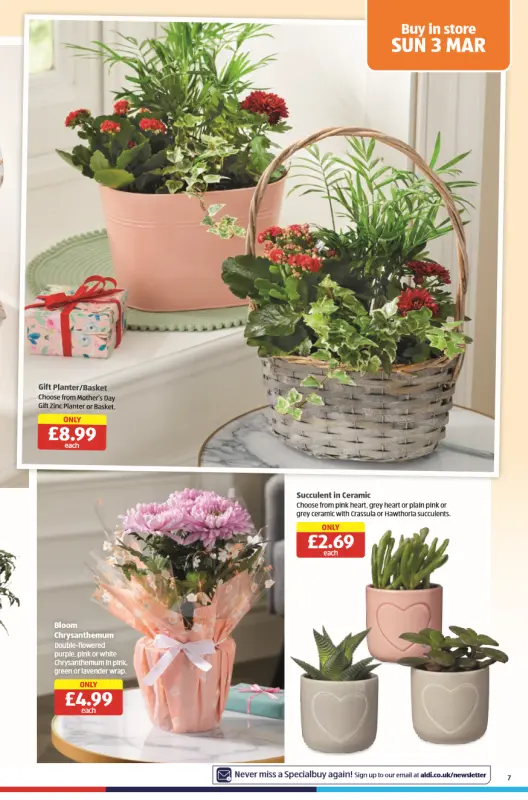 ALDI Special Buys Catalogue From 29 Feb 2024 - 07 page(s)