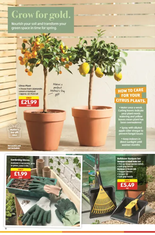 ALDI Special Buys Catalogue From 29 Feb 2024 - 12 page(s)