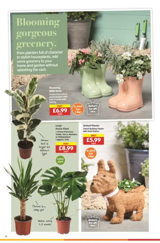 ALDI Special Buys Catalogue From 29 Feb 2024 - 14 page(s)
