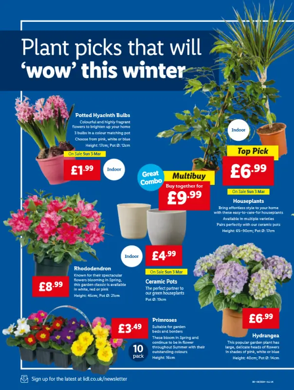 LIDL Weekly Offers Leaflet from 29 Feb 2024 - 22 page(s)