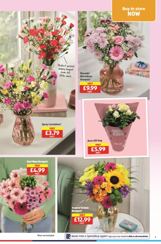 ALDI Special Buys Catalogue From 14 March 2024 - 03 page(s)
