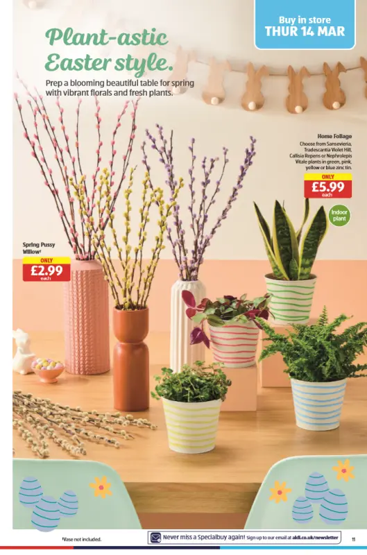 ALDI Special Buys Catalogue From 14 March 2024 - 11 page(s)